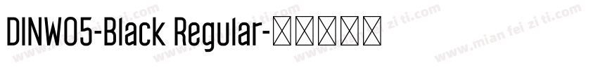 DINW05-Black Regular字体转换